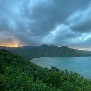 Meet your Posher, Jesse